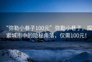 “彌勒小巷子100元”彌勒小巷子，探索城市中的隱秘角落，僅需100元！