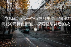 “勐海150元一條街在哪里啊”揭秘勐海150元特色街道，探索繁華背后的故事