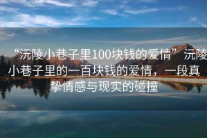 “沅陵小巷子里100塊錢的愛情”沅陵小巷子里的一百塊錢的愛情，一段真摯情感與現(xiàn)實(shí)的碰撞