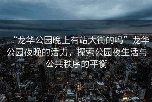 “龍華公園晚上有站大街的嗎”龍華公園夜晚的活力，探索公園夜生活與公共秩序的平衡