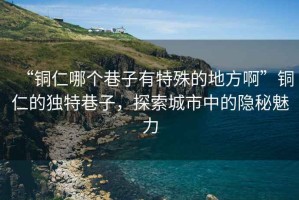 “銅仁哪個巷子有特殊的地方啊”銅仁的獨特巷子，探索城市中的隱秘魅力