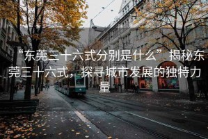 “東莞三十六式分別是什么”揭秘東莞三十六式，探尋城市發(fā)展的獨(dú)特力量