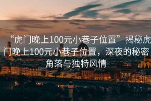 “虎門(mén)晚上100元小巷子位置”揭秘虎門(mén)晚上100元小巷子位置，深夜的秘密角落與獨(dú)特風(fēng)情