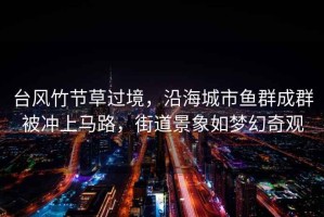 臺風竹節(jié)草過境，沿海城市魚群成群被沖上馬路，街道景象如夢幻奇觀