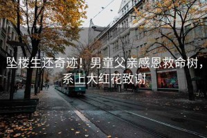 墜樓生還奇跡！男童父親感恩救命樹，系上大紅花致謝
