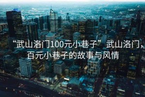 “武山洛門100元小巷子”武山洛門，百元小巷子的故事與風(fēng)情