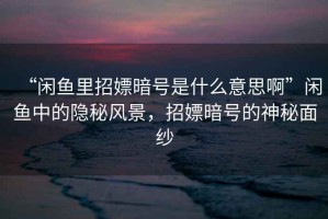 “閑魚里招嫖暗號(hào)是什么意思啊”閑魚中的隱秘風(fēng)景，招嫖暗號(hào)的神秘面紗