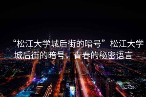 “松江大學(xué)城后街的暗號(hào)”松江大學(xué)城后街的暗號(hào)，青春的秘密語(yǔ)言