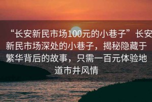 “長安新民市場100元的小巷子”長安新民市場深處的小巷子，揭秘隱藏于繁華背后的故事，只需一百元體驗(yàn)地道市井風(fēng)情