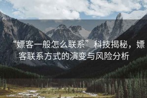 “嫖客一般怎么聯(lián)系”科技揭秘，嫖客聯(lián)系方式的演變與風(fēng)險分析