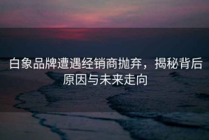 白象品牌遭遇經(jīng)銷商拋棄，揭秘背后原因與未來走向