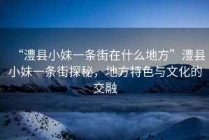 “澧縣小妹一條街在什么地方”澧縣小妹一條街探秘，地方特色與文化的交融