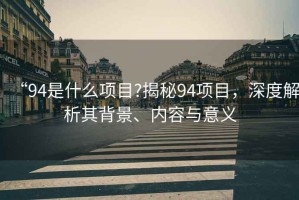 “94是什么項目?揭秘94項目，深度解析其背景、內(nèi)容與意義
