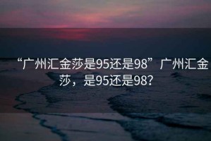 “廣州匯金莎是95還是98”廣州匯金莎，是95還是98？