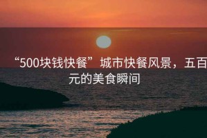 “500塊錢快餐”城市快餐風(fēng)景，五百元的美食瞬間