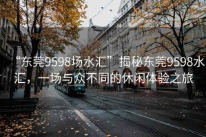 “東莞9598場(chǎng)水匯”揭秘東莞9598水匯，一場(chǎng)與眾不同的休閑體驗(yàn)之旅