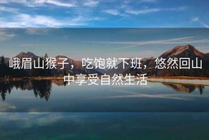 峨眉山猴子，吃飽就下班，悠然回山中享受自然生活