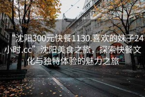 “沈陽300元快餐1130.喜歡的妹子24小時.cc”沈陽美食之旅，探索快餐文化與獨特體驗的魅力之旅