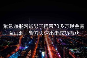 緊急通報網(wǎng)逃男子攜帶70多萬現(xiàn)金藏匿山洞，警方火速出擊成功抓獲