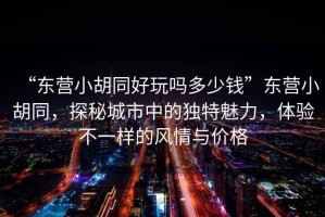 “東營(yíng)小胡同好玩嗎多少錢”東營(yíng)小胡同，探秘城市中的獨(dú)特魅力，體驗(yàn)不一樣的風(fēng)情與價(jià)格