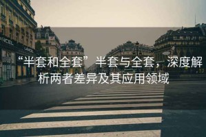 “半套和全套”半套與全套，深度解析兩者差異及其應(yīng)用領(lǐng)域