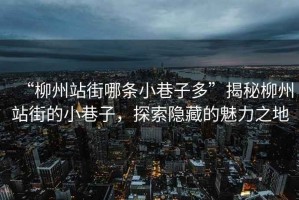“柳州站街哪條小巷子多”揭秘柳州站街的小巷子，探索隱藏的魅力之地