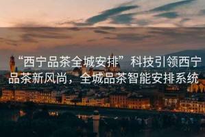 “西寧品茶全城安排”科技引領(lǐng)西寧品茶新風(fēng)尚，全城品茶智能安排系統(tǒng)