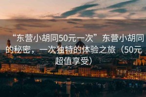 “東營小胡同50元一次”東營小胡同的秘密，一次獨特的體驗之旅（50元超值享受）