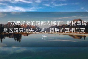 “雙碑好耍的雞都去哪了”揭秘雙碑地區(qū)雞只消失之謎，背后的真相與變遷