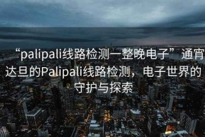 “palipali線路檢測一整晚電子”通宵達(dá)旦的Palipali線路檢測，電子世界的守護(hù)與探索