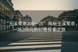 “玉溪葷茶200一次”揭秘玉溪葷茶，一場(chǎng)200元的價(jià)格探索之旅
