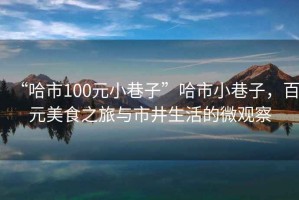 “哈市100元小巷子”哈市小巷子，百元美食之旅與市井生活的微觀察