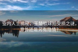 業(yè)內(nèi)人士揭秘，王楚欽球拍受損之謎，意外還是另有隱情？