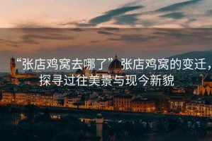 “張店雞窩去哪了”張店雞窩的變遷，探尋過(guò)往美景與現(xiàn)今新貌