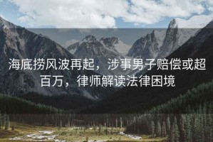 海底撈風波再起，涉事男子賠償或超百萬，律師解讀法律困境