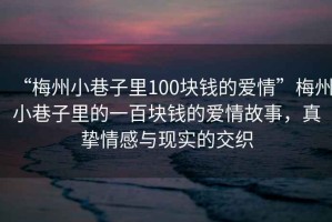 “梅州小巷子里100塊錢的愛情”梅州小巷子里的一百塊錢的愛情故事，真摯情感與現(xiàn)實的交織