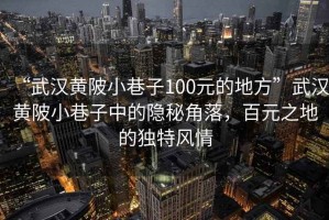 “武漢黃陂小巷子100元的地方”武漢黃陂小巷子中的隱秘角落，百元之地的獨(dú)特風(fēng)情