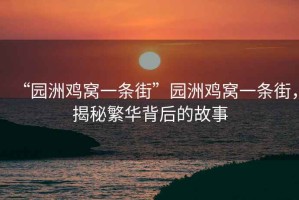 “園洲雞窩一條街”園洲雞窩一條街，揭秘繁華背后的故事