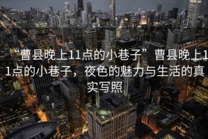 “曹縣晚上11點(diǎn)的小巷子”曹縣晚上11點(diǎn)的小巷子，夜色的魅力與生活的真實(shí)寫照