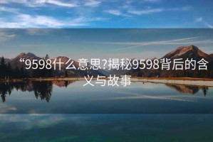 “9598什么意思?揭秘9598背后的含義與故事