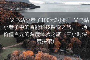 “義烏站小巷子100元3小時(shí)”義烏站小巷子中的智能科技探索之旅，一場(chǎng)價(jià)值百元的深度體驗(yàn)之旅（三小時(shí)深度探索）