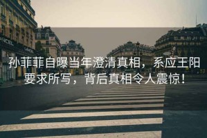 孫菲菲自曝當(dāng)年澄清真相，系應(yīng)王陽(yáng)要求所寫(xiě)，背后真相令人震驚！