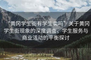 “黃岡學(xué)生街有學(xué)生賣嗎”關(guān)于黃岡學(xué)生街現(xiàn)象的深度調(diào)查，學(xué)生服務(wù)與商業(yè)活動的平衡探討