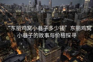 “東麗雞窩小巷子多少錢”東麗雞窩小巷子的故事與價格探尋