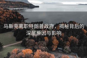 馬斯克離職特朗普政府，揭秘背后的深層原因與影響