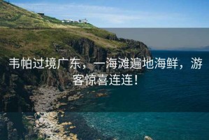 韋帕過境廣東，一海灘遍地海鮮，游客驚喜連連！