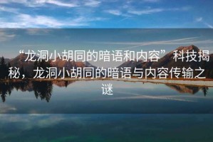 “龍洞小胡同的暗語和內(nèi)容”科技揭秘，龍洞小胡同的暗語與內(nèi)容傳輸之謎