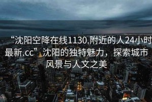 “沈陽空降在線1130.附近的人24小時最新.cc”沈陽的獨(dú)特魅力，探索城市風(fēng)景與人文之美