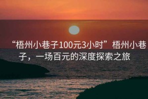 “梧州小巷子100元3小時(shí)”梧州小巷子，一場(chǎng)百元的深度探索之旅