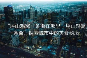 “坪山雞窩一條街在哪里”坪山雞窩一條街，探索城市中的美食秘境